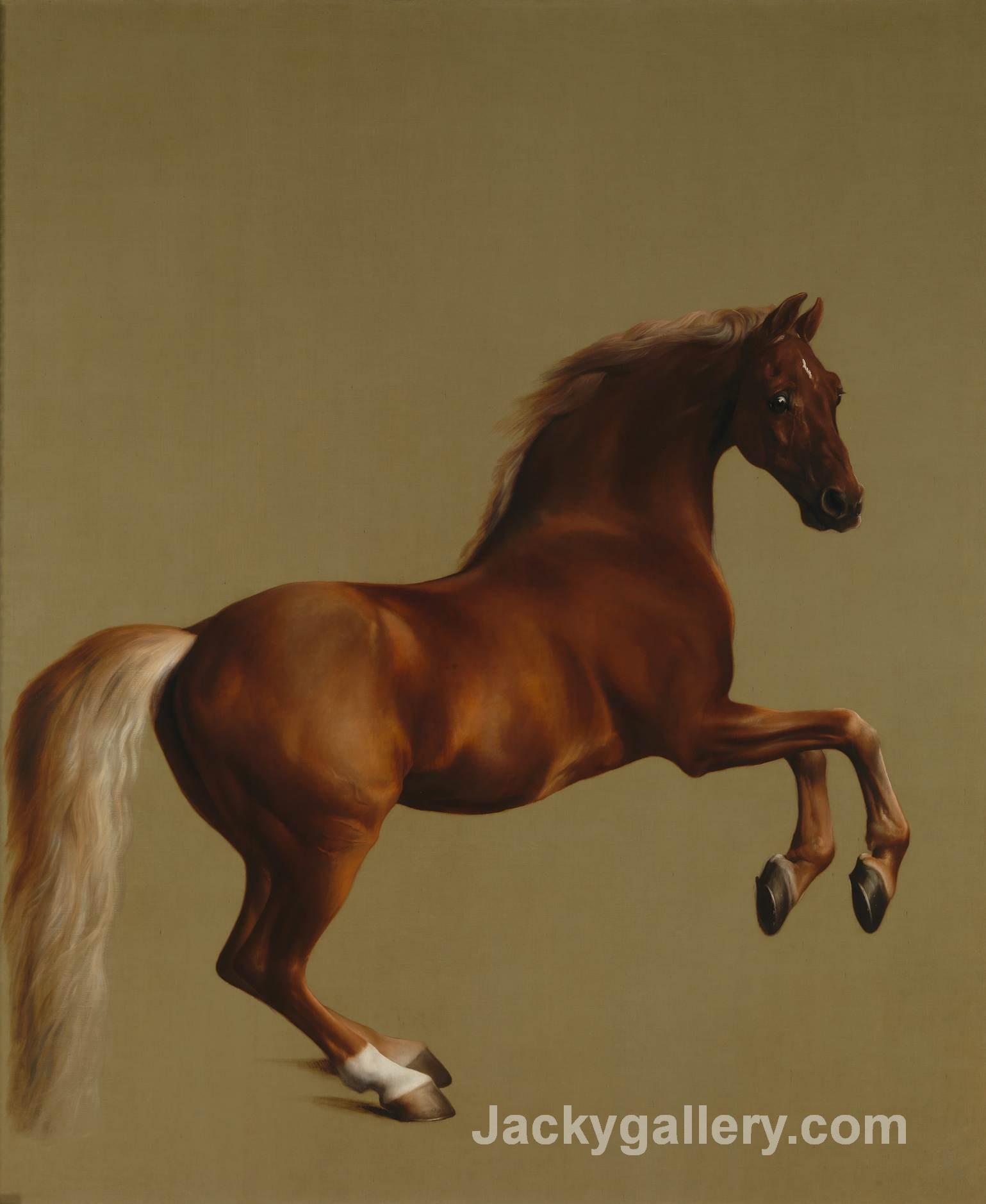 Whistlejacket by George Stubbs paintings reproduction